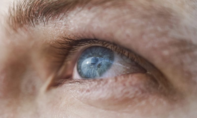 Human blue eye macro shot